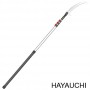 Scie sur perche Hayauchi SILKY*