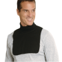 Plastron