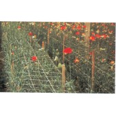 Filet &agrave; ramer/tuteurer