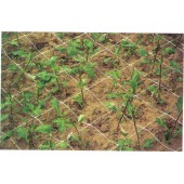 Filet &agrave; ramer/tuteurer