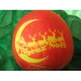 Pochoirs pour marquage de fruits