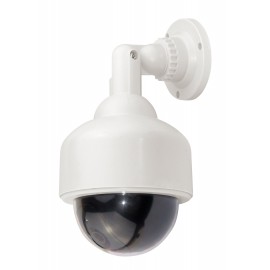 Caméra Factice dôme LED