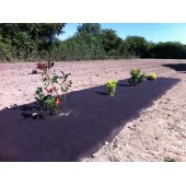 Feutre de paillage 100% biodégradable*