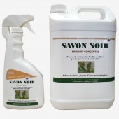 Savon noir