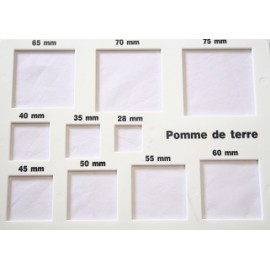 Calibreur CNIPT Pomme de terre Calibreur CNIPT Pomme de terre