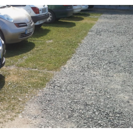 Gazon GOLD STAR VOIRIES ET TROTTOIRS