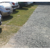 Gazon GOLD STAR VOIRIES ET TROTTOIRS
