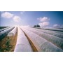 Filet anti-insectes Climabio