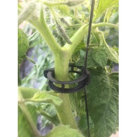 Clips Tomate (100pces) Clips Tomate (100pces)