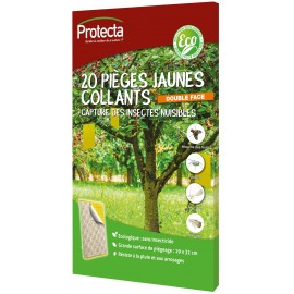 Lot de 20 feuilles engluées jaunes