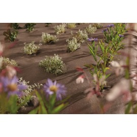 Paillage biodégradable et compostable (PLA) Paillage biodégradable et compostable (PLA)