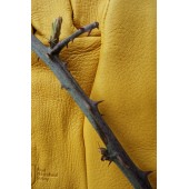 Gants anti-ronces et épines