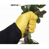 Gants anti-ronces et épines