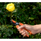 Sécateur cueille-fleur P64-20 Bahco