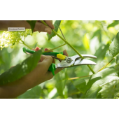 S&eacute;cateur Opinel