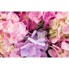 PRODUIT CAMILLE POUR TESTER LES TRANSPORTS