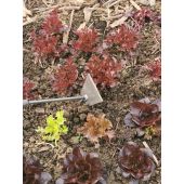 Binette forg&eacute;e 2 en 1 trap&eacute;zo&iuml;dale avec pointe