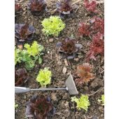 Binette forg&eacute;e 2 en 1 trap&eacute;zo&iuml;dale avec pointe