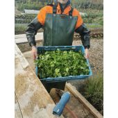 Manchette double &eacute;tanche