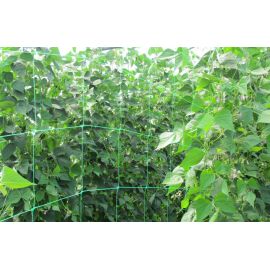 Filet &agrave; ramer vert