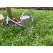 Arrosoir 13L galvanis&eacute; ovale