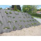 Toile de paillage perfor&eacute;e noire 130g/m&sup2;