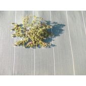 Toile de paillage perfor&eacute;e noire 130g/m&sup2;