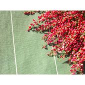 Toile de paillage perfor&eacute;e noire 130g/m&sup2;