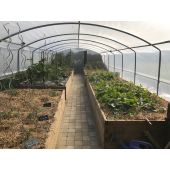 Serre 4 saisons+ Poly&eacute;thyl&egrave;ne 4m + a&eacute;rations lat&eacute;rales