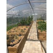 Serre 4 saisons+ Poly&eacute;thyl&egrave;ne 4m + a&eacute;rations lat&eacute;rales