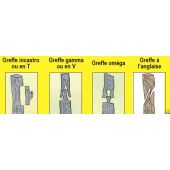 Pince &agrave; greffer Italienne A45