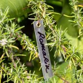 Lot de 50 &eacute;tiquettes alu avec fil de cuivre