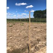 Grillage galvanis&eacute;