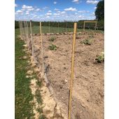 Grillage galvanis&eacute;