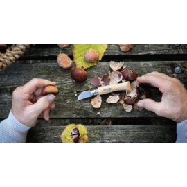 Couteau chataigne, ail et d&eacute;noyautage - N&deg;7