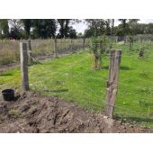 Grillage galvanis&eacute;