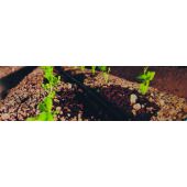 Kit complet irrigation goutte-&agrave;-goutte