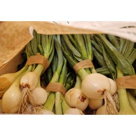 Adh&eacute;sifs papier