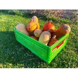 Lot de 5 caisses de r&eacute;colte pliables