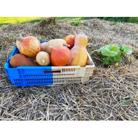 Lot de 4 caisses de r&eacute;colte bicolores emboitables