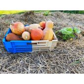 Lot de 4 caisses de r&eacute;colte bicolores emboitables