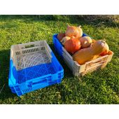 Lot de 4 caisses de r&eacute;colte bicolores emboitables