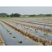 Film de paillage microperfor&eacute;e biod&eacute;gradable*