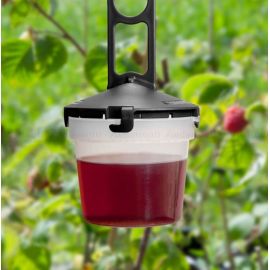 Pi&egrave;ge mouches &agrave; fruits