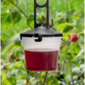 Pi&egrave;ge mouches &agrave; fruits