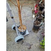 Diable &eacute;troit pour pots et containers *