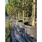 Tuyau goutteur sp&eacute;cial p&eacute;pini&egrave;re PORITEX