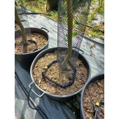 Tuyau goutteur sp&eacute;cial p&eacute;pini&egrave;re PORITEX