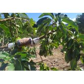 Kit de marcottage r&eacute;utilisable