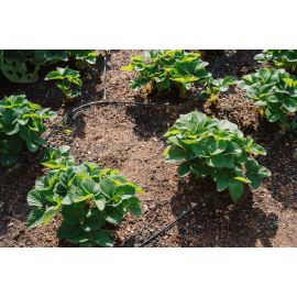 Kit goutte &agrave; goutte 15m pour jardin GEKA